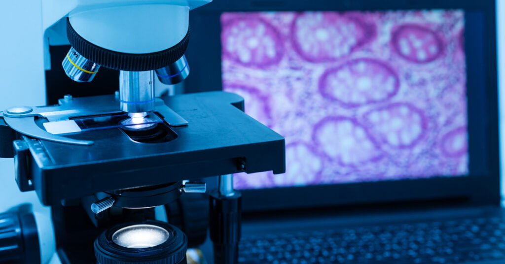 dermatopathology